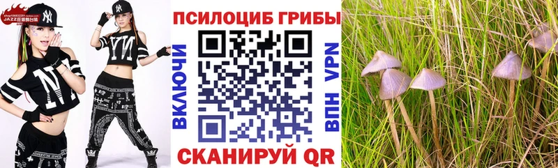 Псилоцибиновые грибы мухоморы  Суворов 